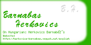 barnabas herkovics business card